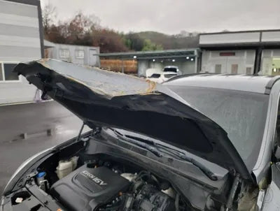 2018 Hyundai Santa FE KMHSW81UBJU851143 VIN:KMHSW81UBJU851143