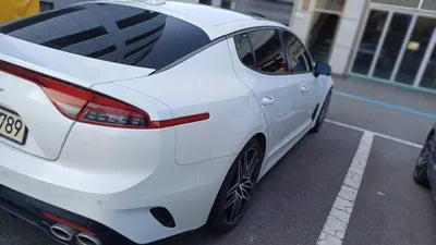 2021 Kia Stinger KNAE351DBMS101749 VIN:KNAE351DBMS101749