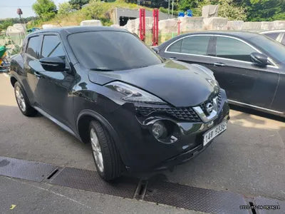 2015 Nissan Juke JN1AF58E6FT100260 VIN:JN1AF58E6FT100260