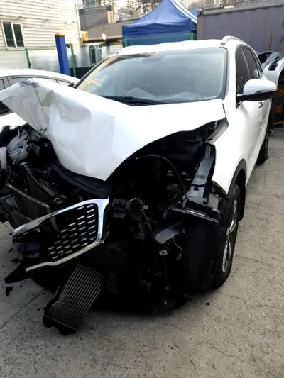 2018 Kia Sorento KNAPG81BDKA474573 VIN:KNAPG81BDKA474573