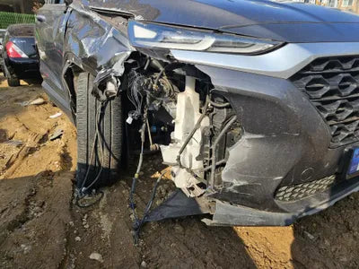 2019 Hyundai Santa FE KMHS281BBKU176211 VIN:KMHS281BBKU176211