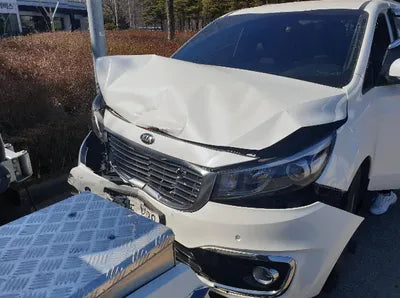 2016 Kia Carnival KNAMB81ABGS214253 VIN:KNAMB81ABGS214253