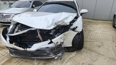 2019 Toyota Camry JTNB21HK0K3039876 VIN:JTNB21HK0K3039876