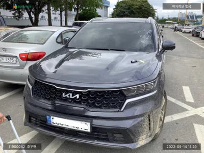 2021 Kia Sorento KNARH81GBNA066681 VIN:KNARH81GBNA066681