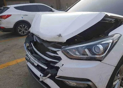 2018 Hyundai Santa FE KMHSW81UBJU834628 VIN:KMHSW81UBJU834628