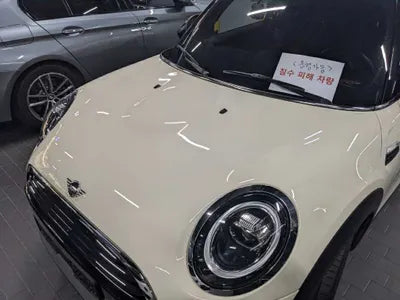 2021 MINI Cooper WMWXR7109M2N90203 VIN:WMWXR7109M2N90203