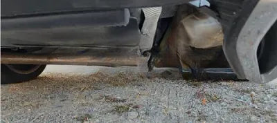 2022 Mercedes-Benz E 350 W1KZF8GB5NB008625 VIN:W1KZF8GB5NB008625