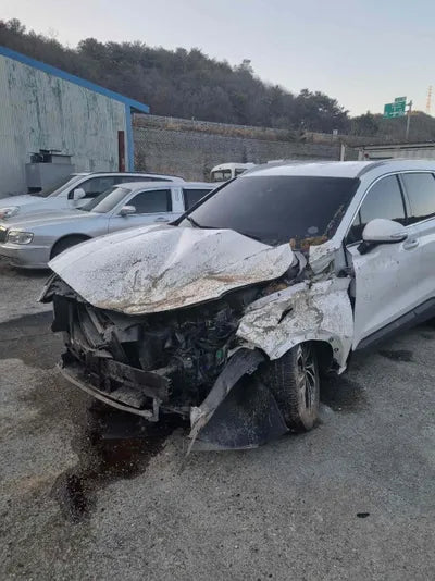 2018 Hyundai Santa FE KMHS281BDKU061175 VIN:KMHS281BDKU061175