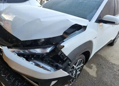 2020 Hyundai Kona KMHK381EGLU028060 VIN:KMHK381EGLU028060