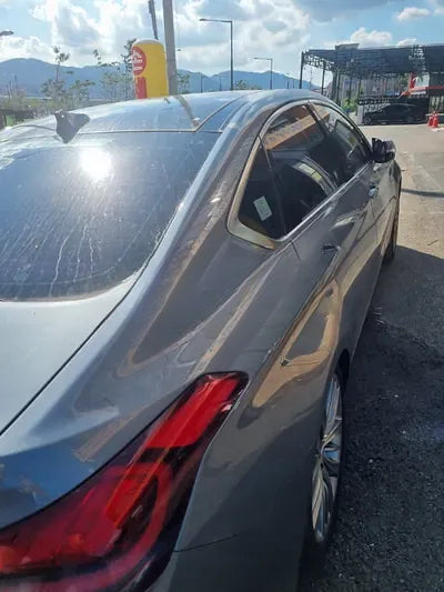 2015 acupuncture nessis 3.3 NONE VIN: