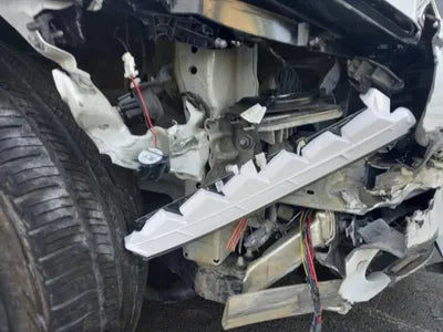 2019 Tesla Model 3 5YJ3E1EB7LF585194 VIN:5YJ3E1EB7LF585194