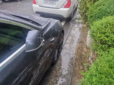 2020 Tesla Model 3 5YJ3E1EC9LF756312 VIN:5YJ3E1EC9LF756312