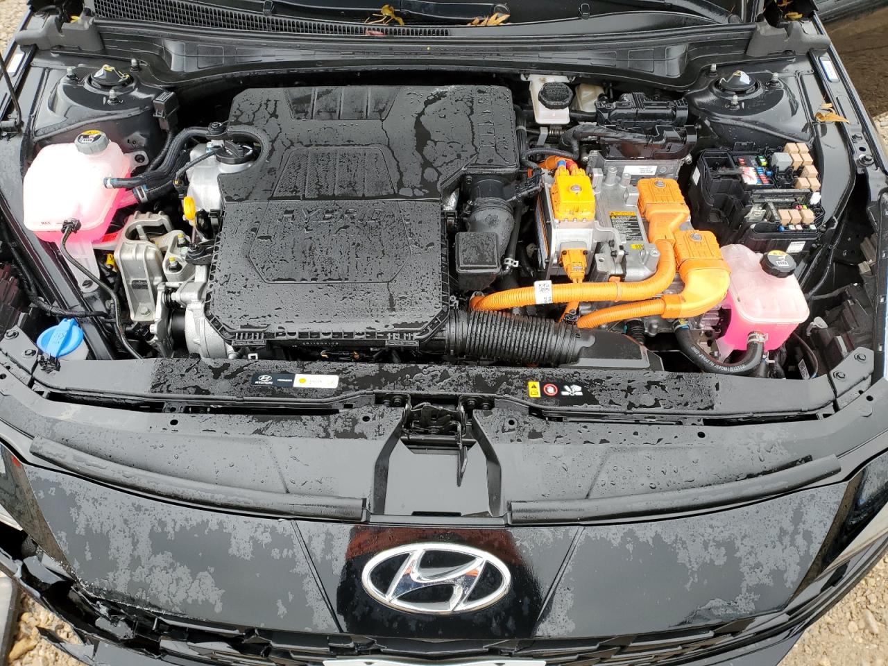 2022 HYUNDAI ELANTRA BLUE VIN:KMHLM4AJ5NU027657