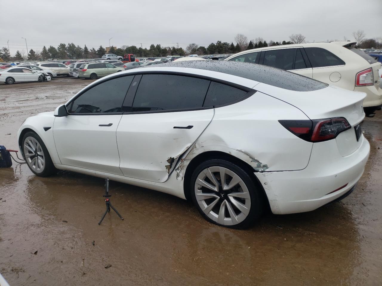 2022 TESLA MODEL 3  VIN:5YJ3E1EB7NF128002