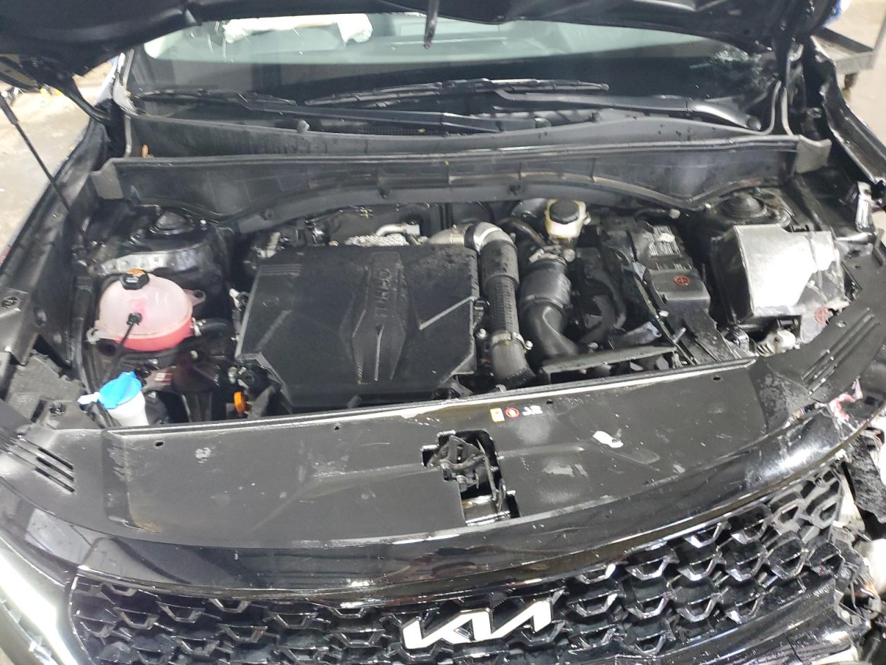2023 KIA SORENTO SX VIN:5XYRKDLF8PG238031
