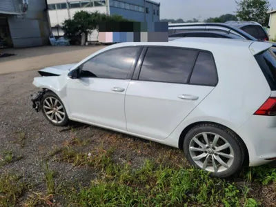 2016 Volkswagen Golf WVWZZZAUZGW178307 VIN:WVWZZZAUZGW178307