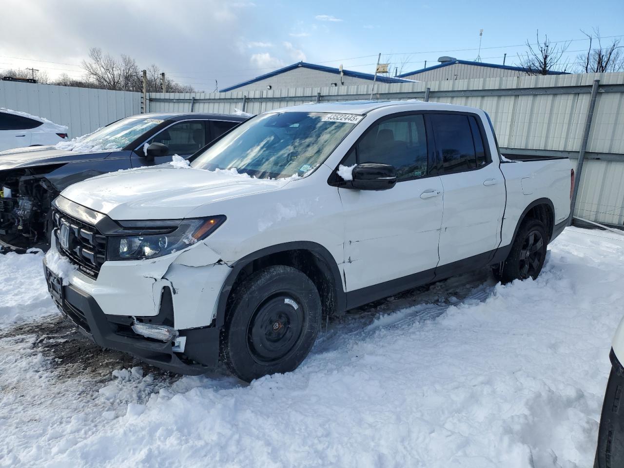 2024 HONDA RIDGELINE BLACK EDITION VIN:5FPYK3F83RB001368