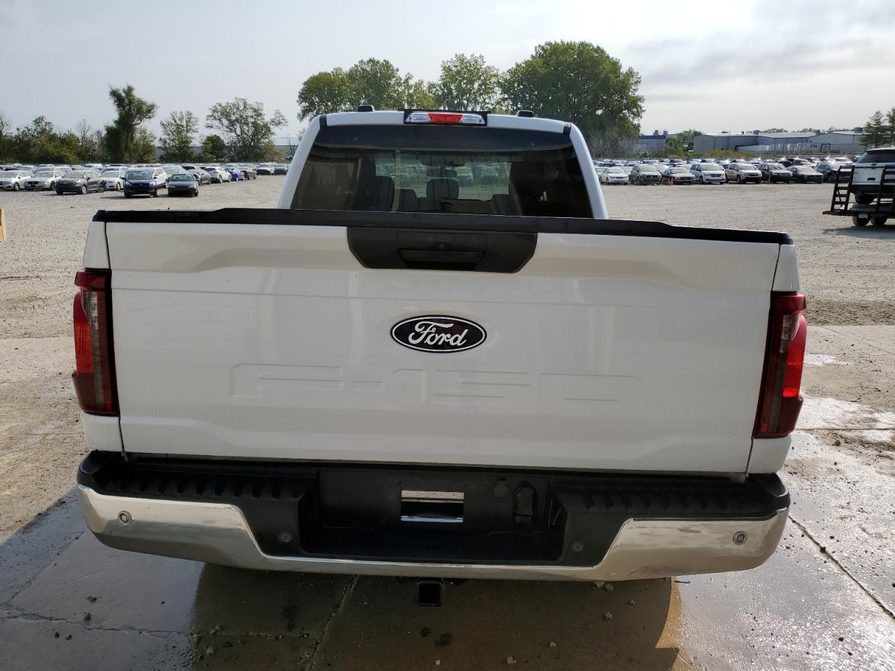 2024 FORD F150 XL VIN:1FTFW1L84RKD05311