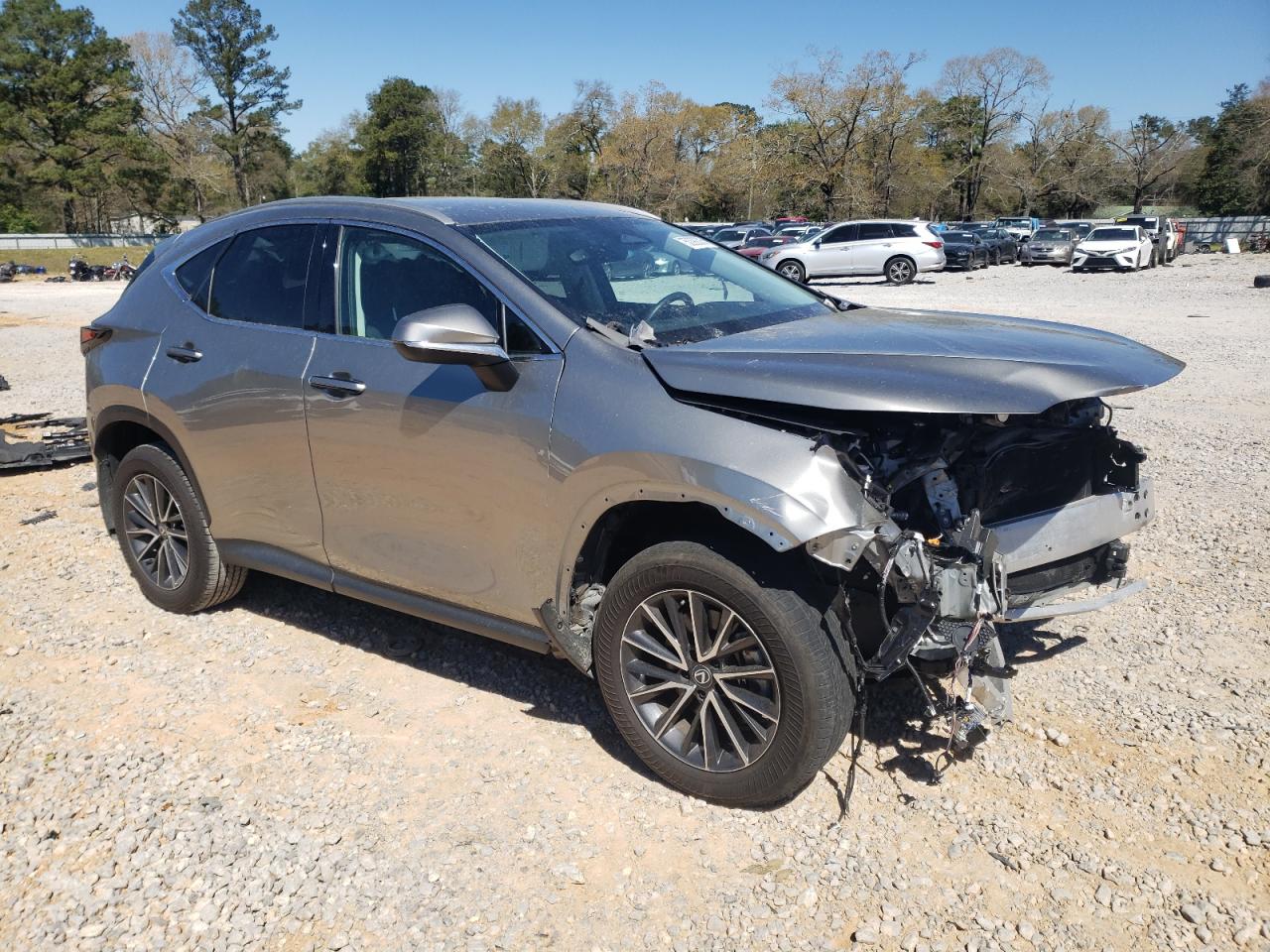 2024 LEXUS NX 250 BASE VIN:2T2ADCAZ3RC008065