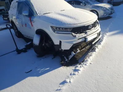 2020 Kia Sorento KNARK81GBMA006789 VIN:KNARK81GBMA006789