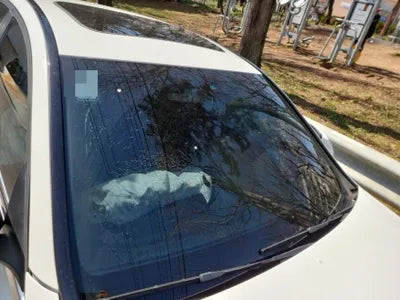 2017 Mercedes-Benz C 200 VIN: