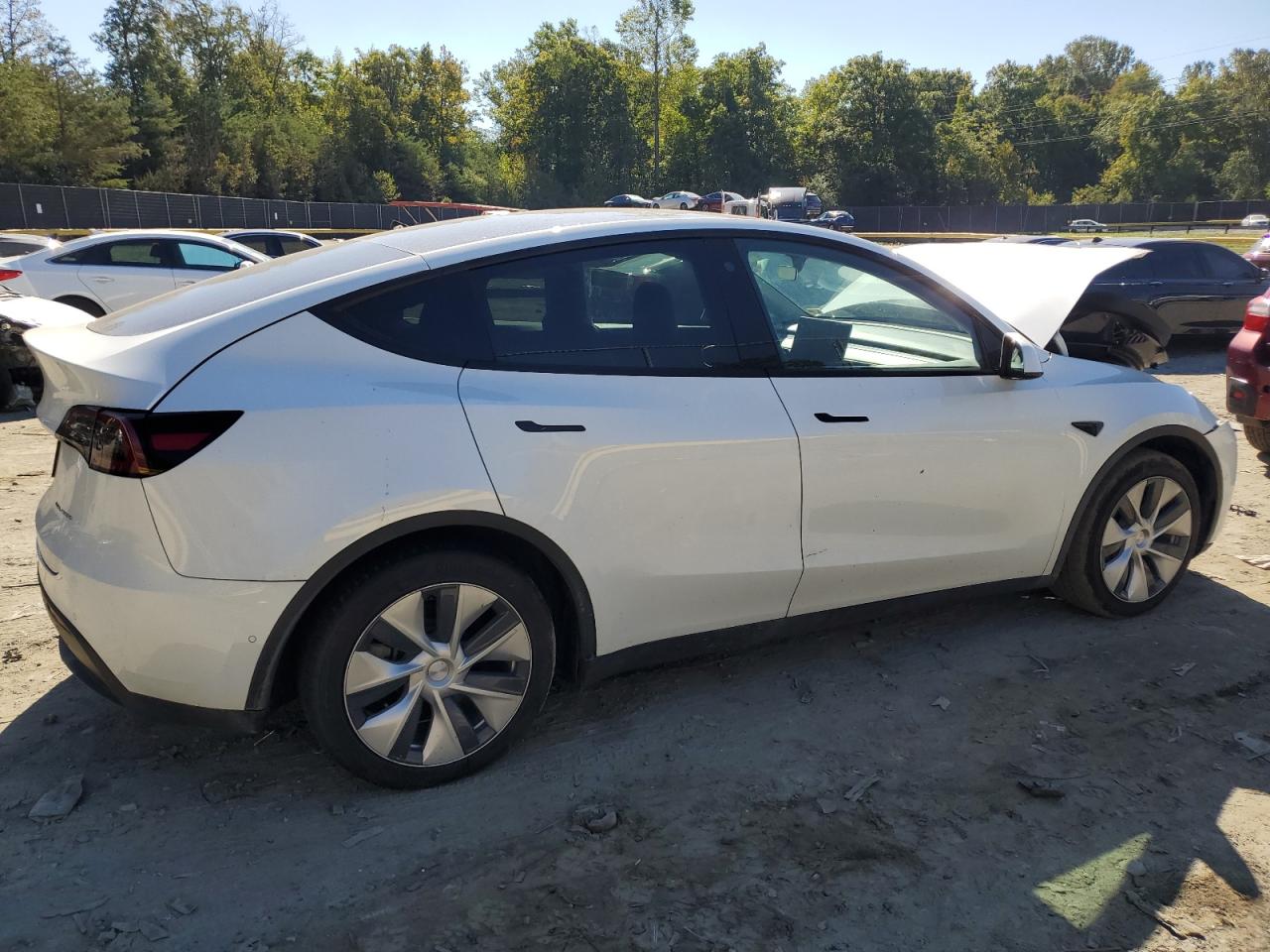 2022 TESLA MODEL Y  VIN:7SAYGAEE8NF358449