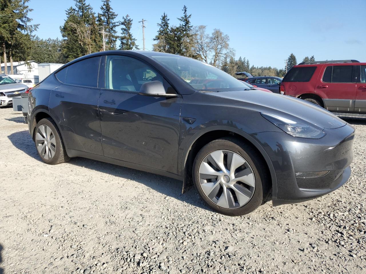 2024 TESLA MODEL Y  VIN:7SAYGDEE3RF008802