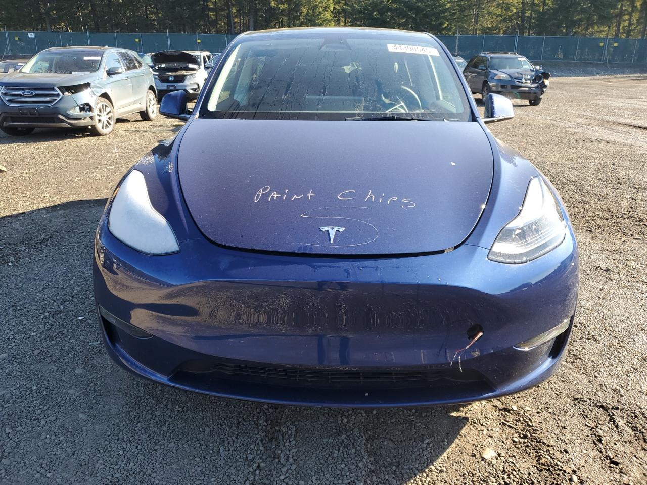 2023 TESLA MODEL Y  VIN:7SAYGDEE7PF760001