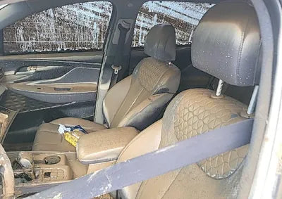 2019 Hyundai Santa FE KMHS381BDKU033487 VIN:KMHS381BDKU033487