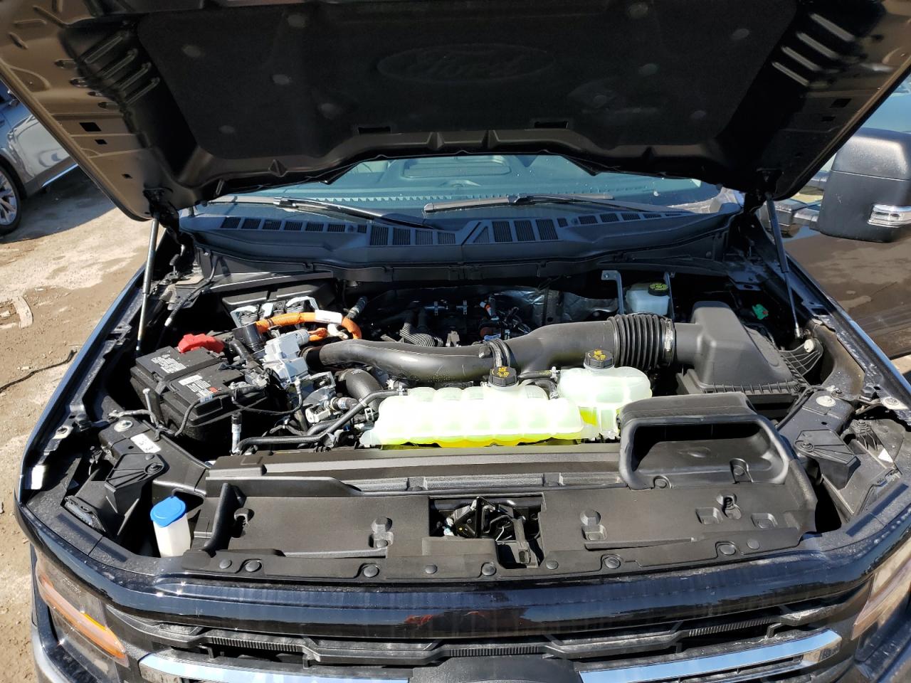2024 FORD F150 XLT VIN:1FTFW3LD2RFB08929