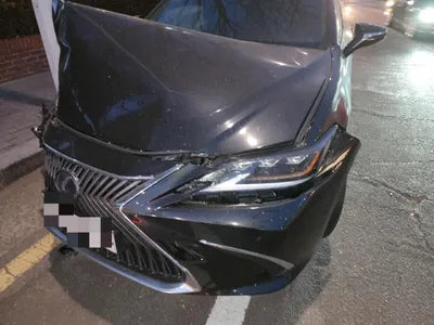 2019 Lexus ES 300 JTHB21B10K2064446 VIN:JTHB21B10K2064446