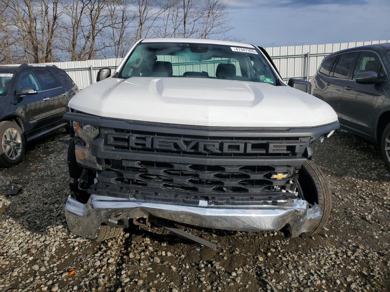 2023 CHEVROLET SILVERADO C1500 VIN:3GCNAAED7PG325867