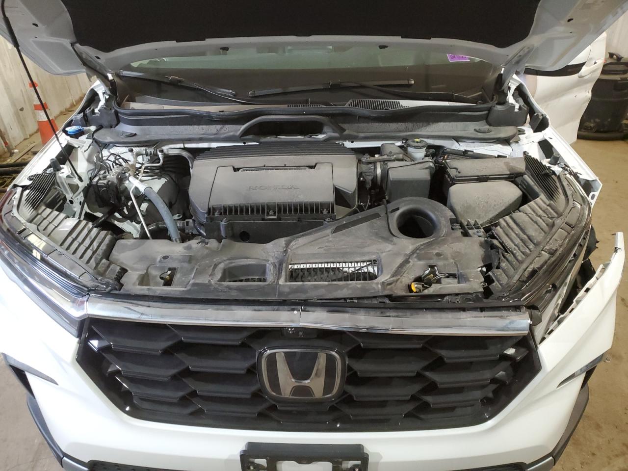 2024 HONDA PILOT ELITE VIN:5FNYG1H86RB008231