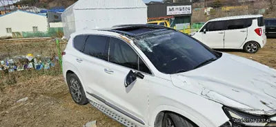 2019 Hyundai Santa FE 127KMKMHS581CDKU0 VIN:127KMKMHS581CDKU0