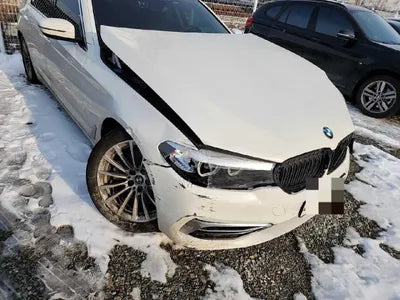 2019 BMW 520 WBAJK7108KGL29042 VIN:WBAJK7108KGL29042
