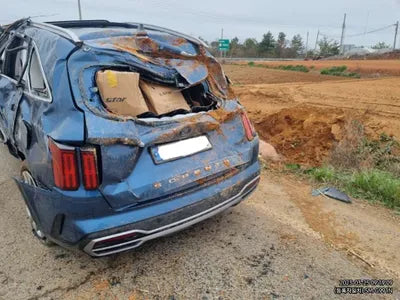 2021 Kia Sorento KNARK81BGMA015419 VIN:KNARK81BGMA015419