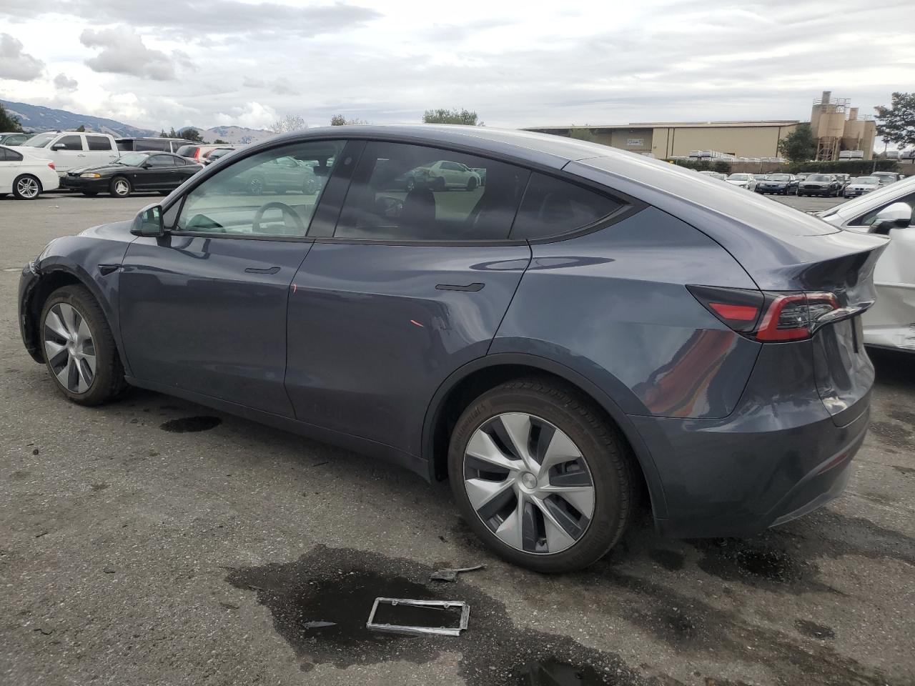 2023 TESLA MODEL Y  VIN:7SAYGDEE0PF695329