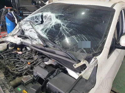2019 Kia Carnival KNAME81ABKS487105 VIN:KNAME81ABKS487105