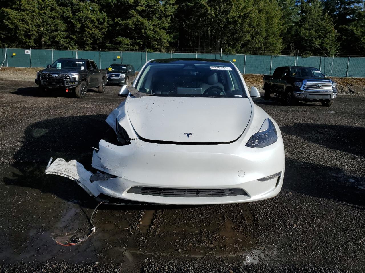 2024 TESLA MODEL Y  VIN:7SAYGAEE1RF988982