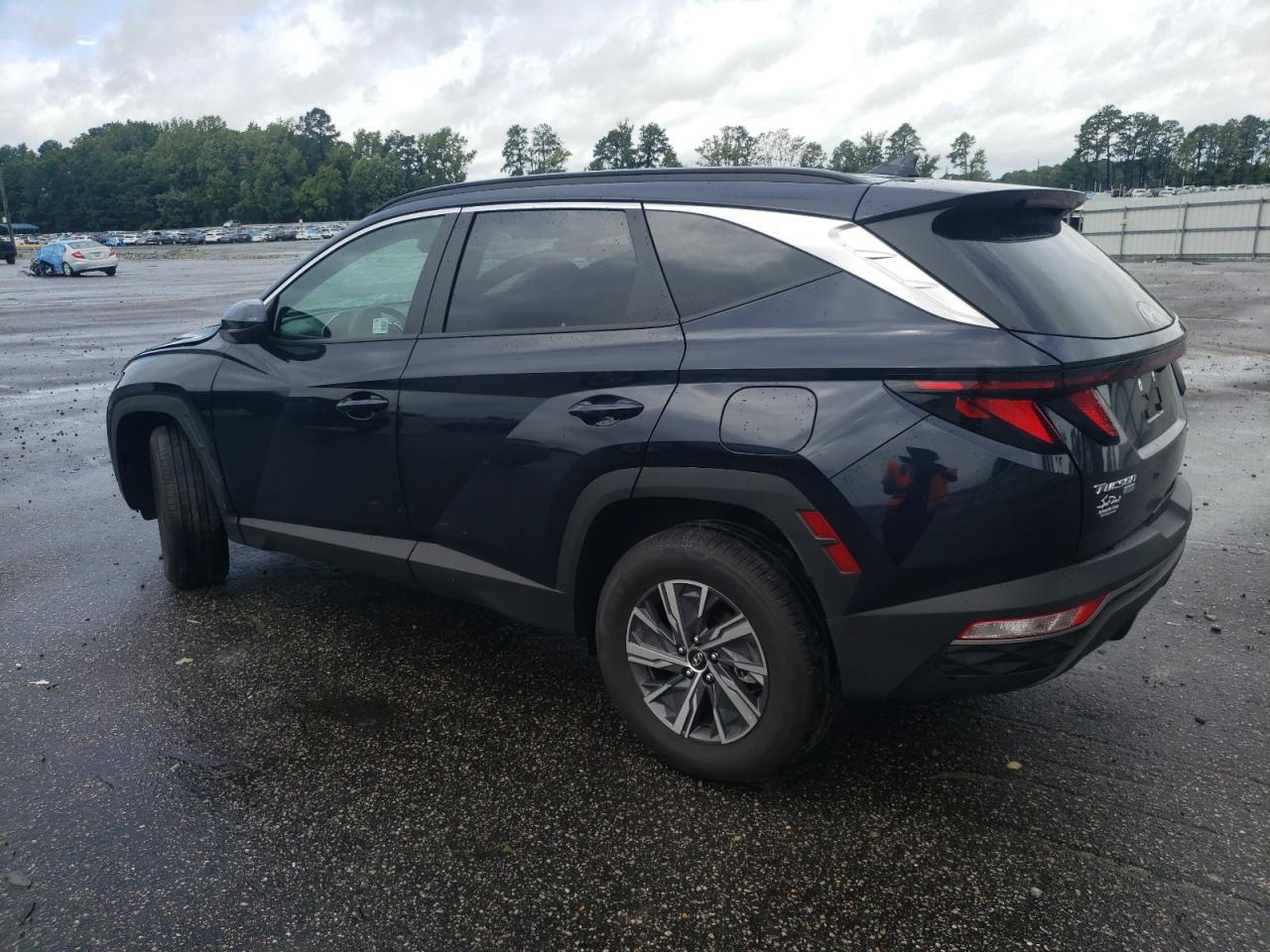 2024 HYUNDAI TUCSON BLUE VIN:KM8JBCD16RU196448