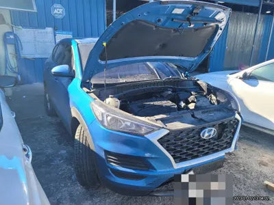 2019 Hyundai Tucson KMHJ2817GKU965282 VIN:KMHJ2817GKU965282