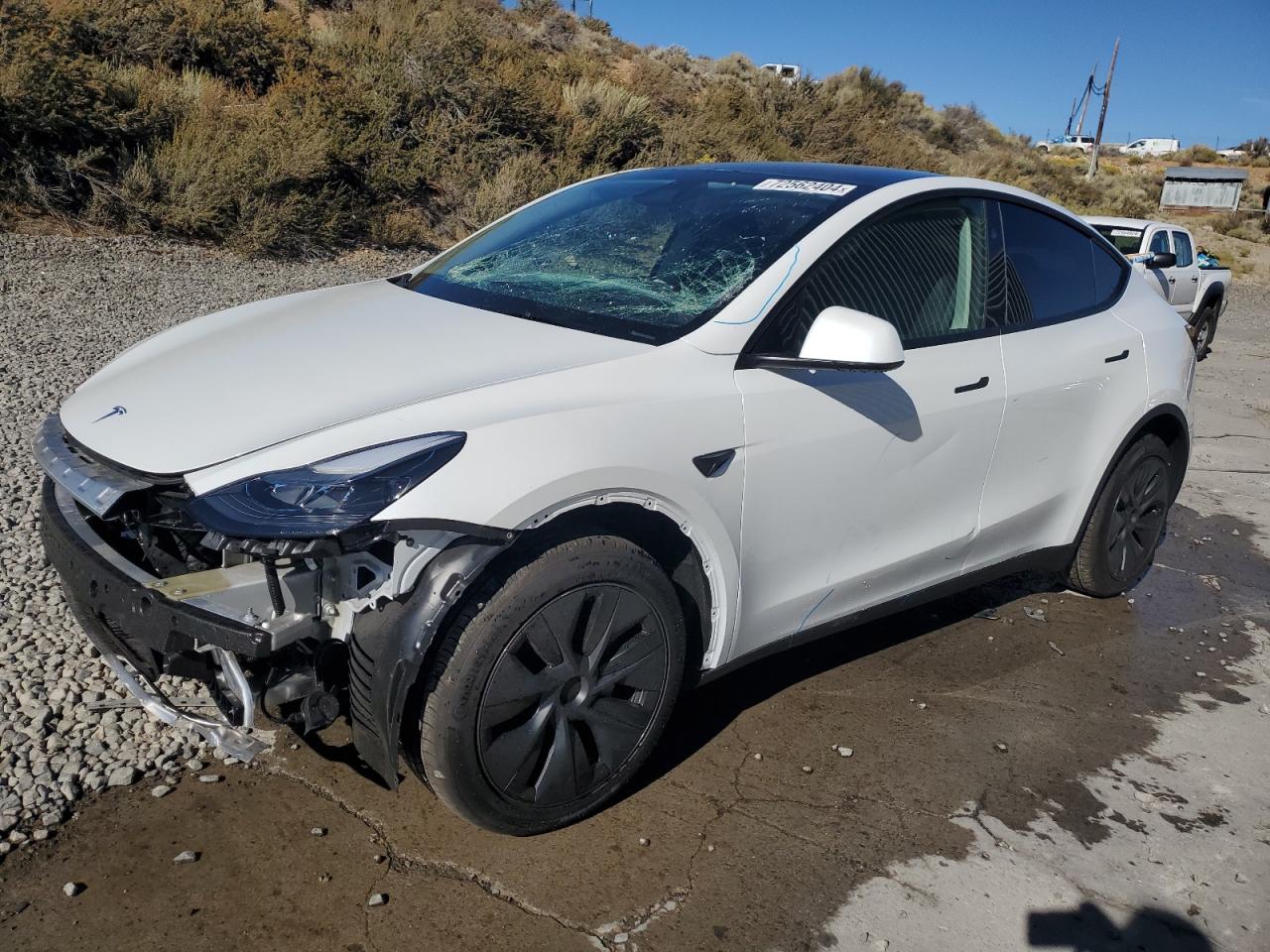 2024 TESLA MODEL Y  VIN:7SAYGDEE2RF153619