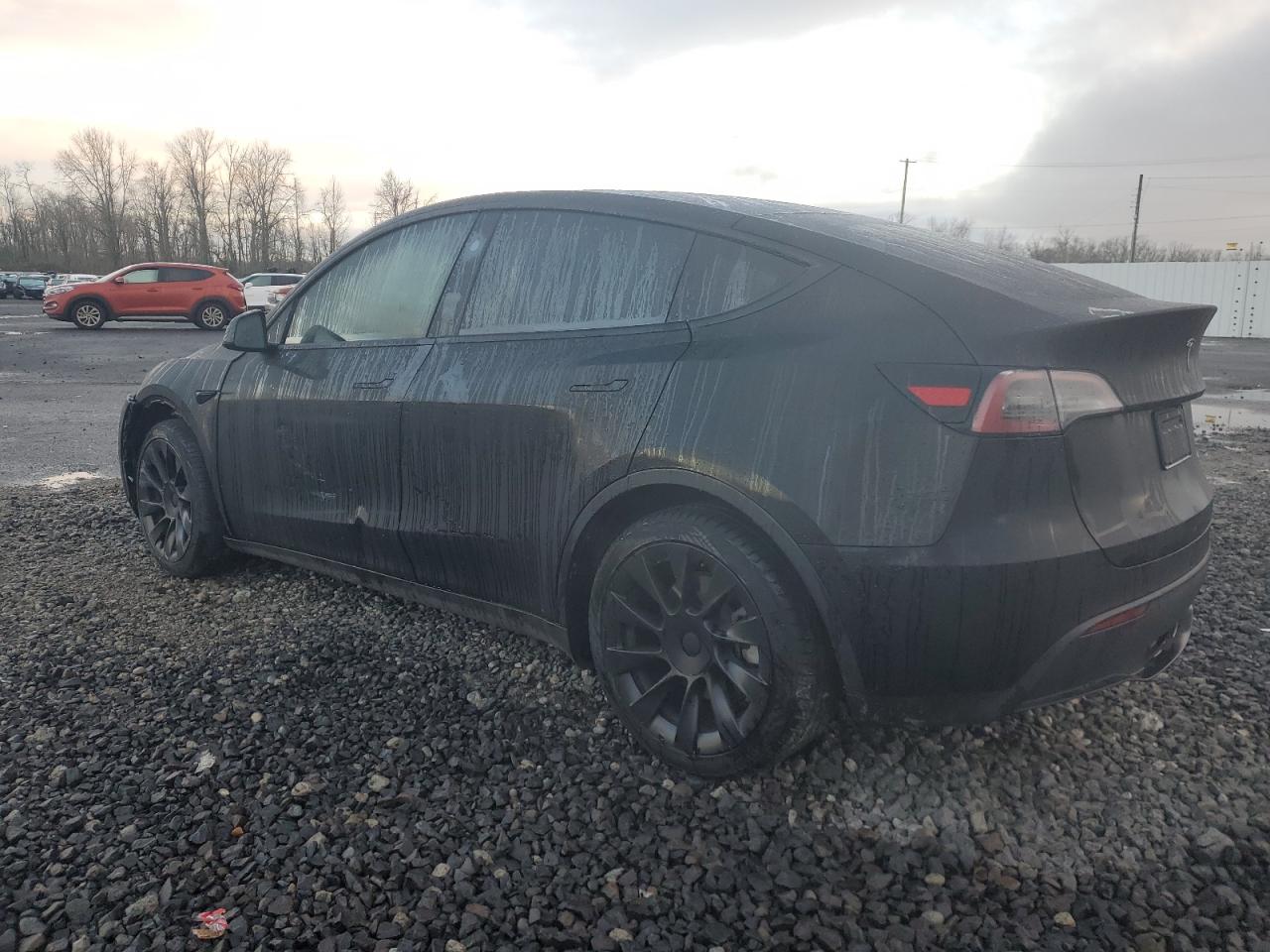 2023 TESLA MODEL Y  VIN:7SAYGDEE7PF811741