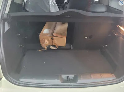 2019 MINI Cooper WMWXP5102K2H92472 VIN:WMWXP5102K2H92472