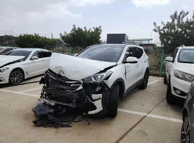 2018 Hyundai Santa FE KMHSW81UBJU788786 VIN:KMHSW81UBJU788786
