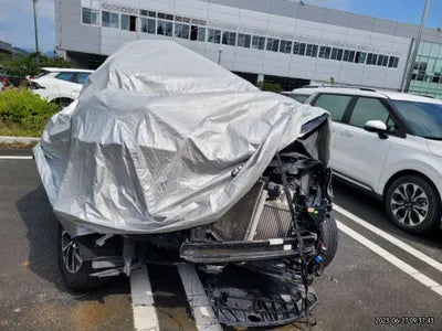 2021 Kia Carnival KNANB81BBMS045022 VIN:KNANB81BBMS045022