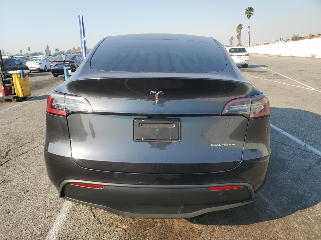 2024 TESLA MODEL Y  VIN:7SAYGDEE1RF079397
