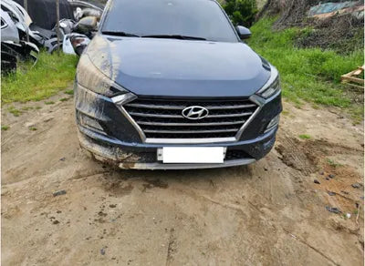 2019 Hyundai Tucson KMHJ5812GKU906089 VIN:KMHJ5812GKU906089