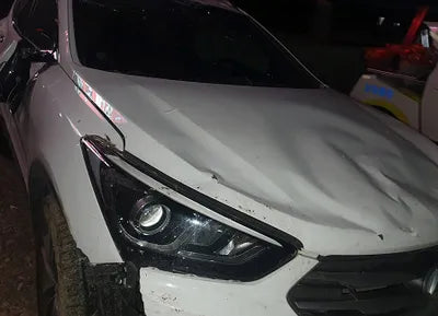 2017 Hyundai Santa FE KMHSW81UBHU753115 VIN:KMHSW81UBHU753115