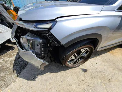 2019 Hyundai Santa FE KMHS381BBKU156411 VIN:KMHS381BBKU156411